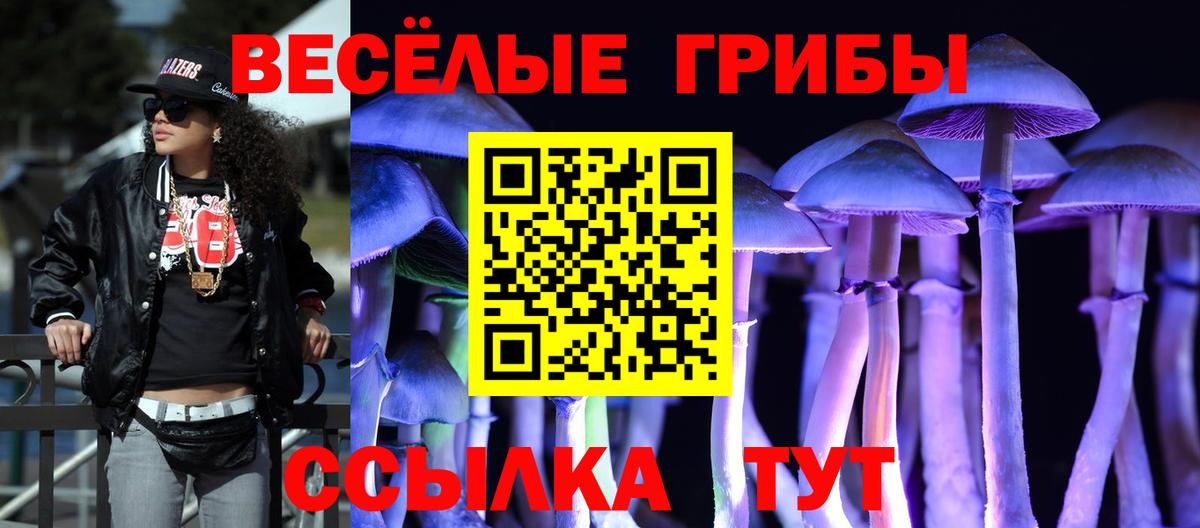 купить наркотики цена  Вход с VPN  Псилоцибиновые грибы Cubensis  Астрахань  Псилоцибиновые грибы GOLDEN TEACHER 